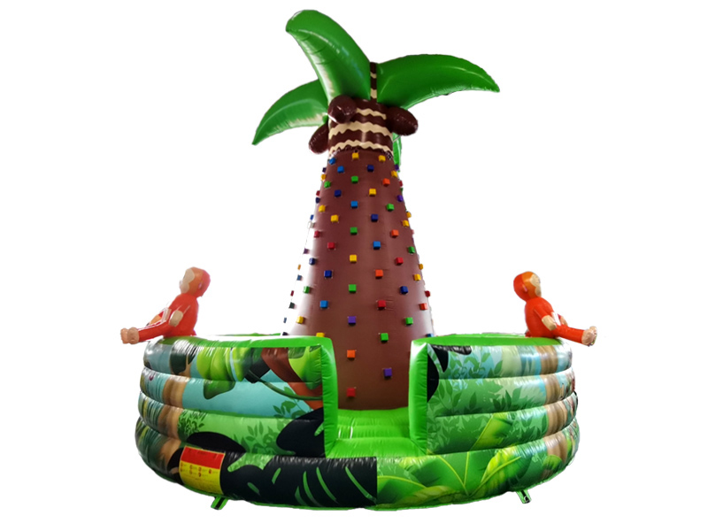 bounce house climbing wall