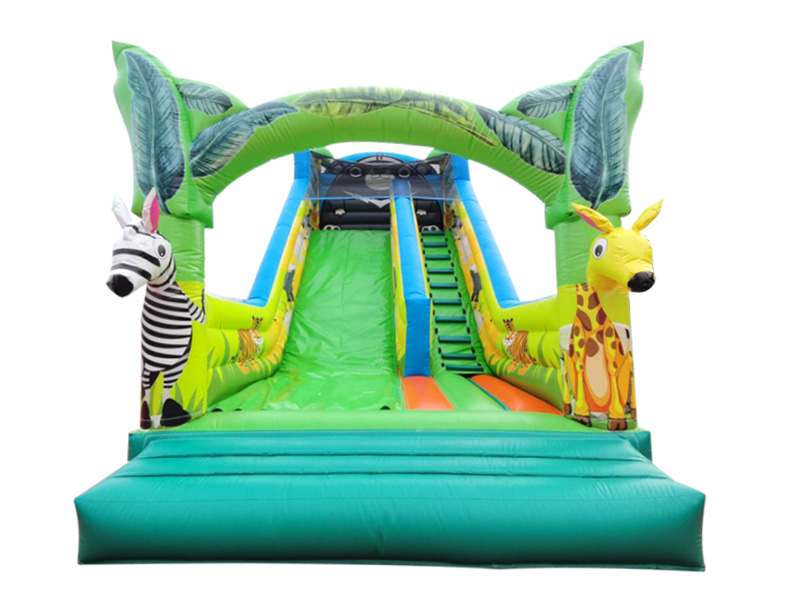 giant inflatable slide