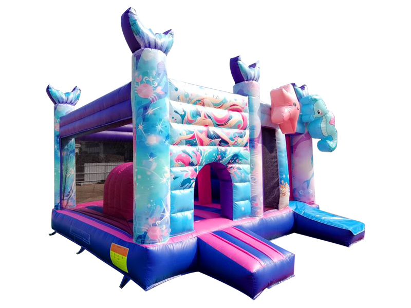 commercial bounce house with slide
