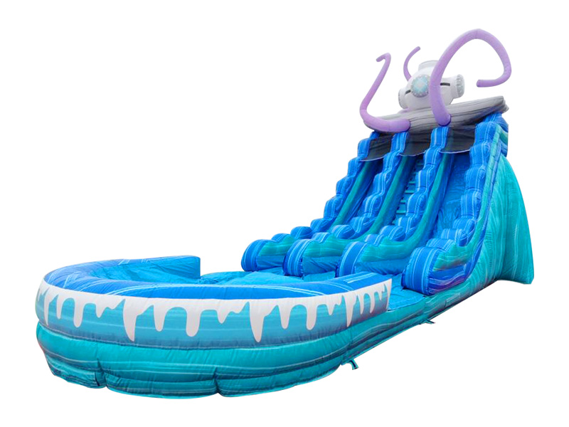 giant inflatable water slides for sale