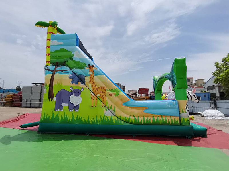 factory direct inflatable dry slide