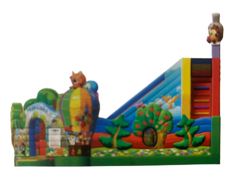 blow up inflatable bounce house