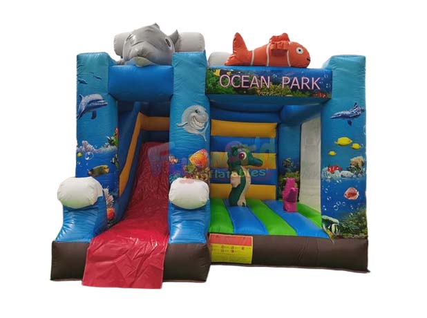 jump and slide bounce house