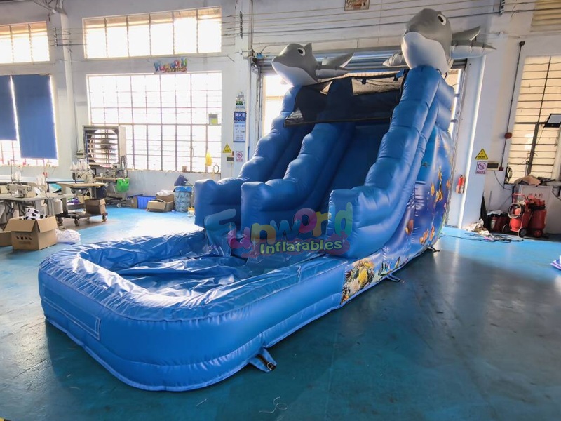 dolphin water slide